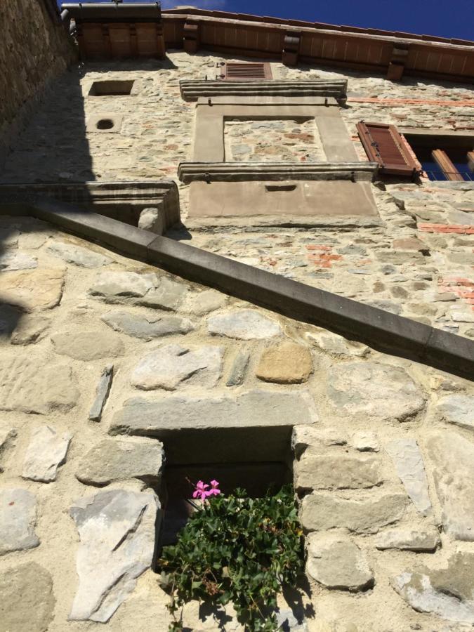 Castello Di Urbech Apartment Pratovecchio Exterior photo