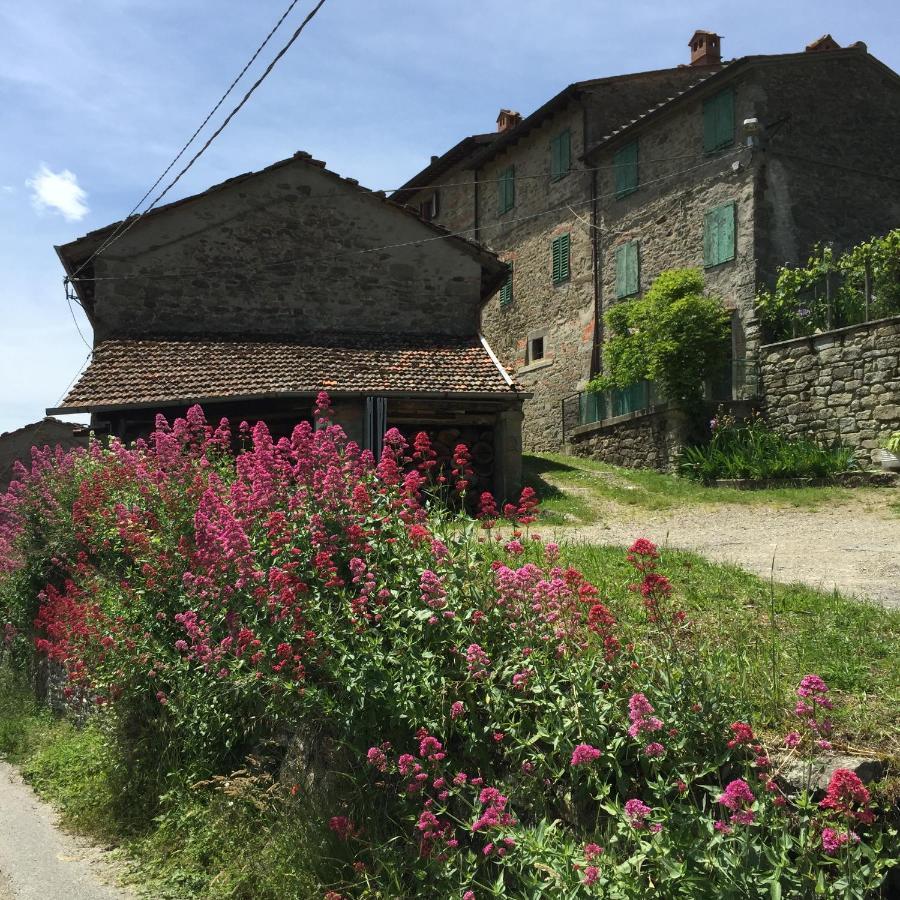 Castello Di Urbech Apartment Pratovecchio Exterior photo